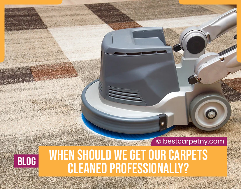 Best Carpet NY 20 off on all cleaning services New York Best carpet cleaning, Best carpet
