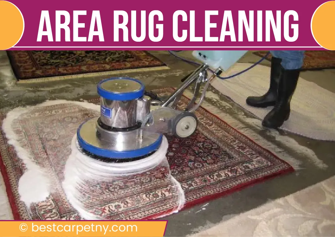 carpet cleaning in new york, carpet cleaning New York, carpet cleaners in New York, commercial carpet cleaning, commercial carpet cleaning in New York, New York rug cleaners, rug cleaning services in New York, same day carpet cleaning, same day rug cleaning, upholstery cleaning services in new york, carpet cleaning services in ny, ny carpet cleaning , rug cleaning ny, upholstery cleaning ny