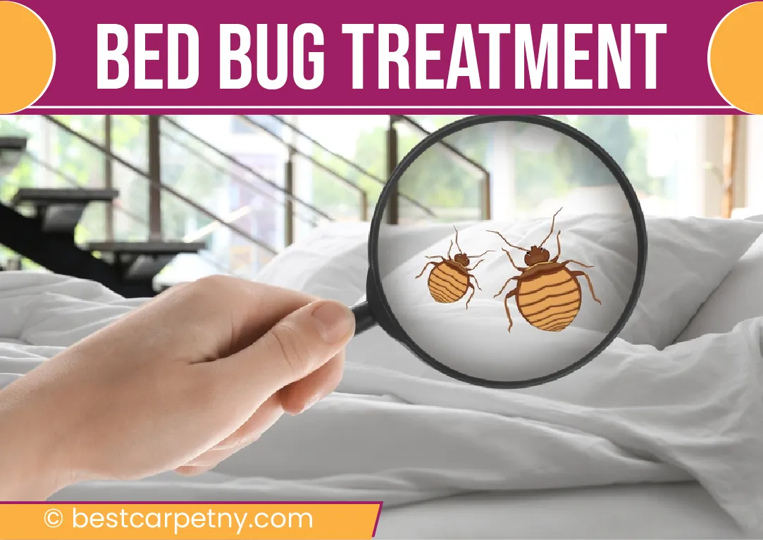 carpet cleaning in new york, carpet cleaning New York, carpet cleaners in New York, commercial carpet cleaning, commercial carpet cleaning in New York, New York rug cleaners, rug cleaning services in New York, same day carpet cleaning, same day rug cleaning, upholstery cleaning services in new york, carpet cleaning services in ny, ny carpet cleaning , rug cleaning ny, upholstery cleaning ny